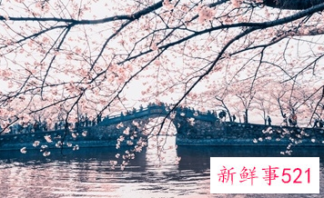 感觉和老公相处越来越累