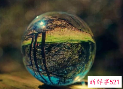 社会的现实体现