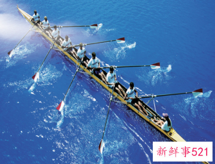 什么是团队精神呢