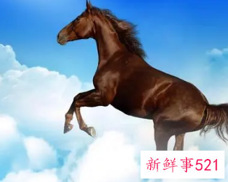 属马的床头朝西好不好