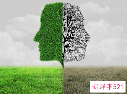 社会的现实体现