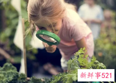 怎样培养孩子的观察力