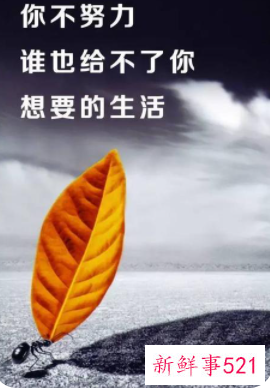 励志正能量积极向上的标题
