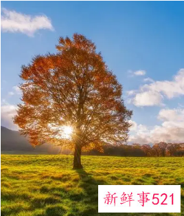 好听重名的男孩名字