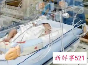 早产新生儿住保温箱可以报销吗