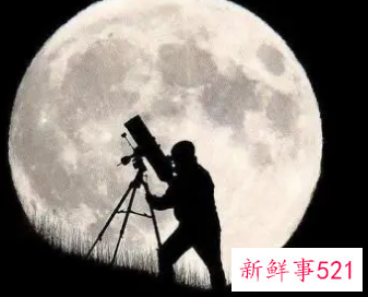 就业表的专长怎么写