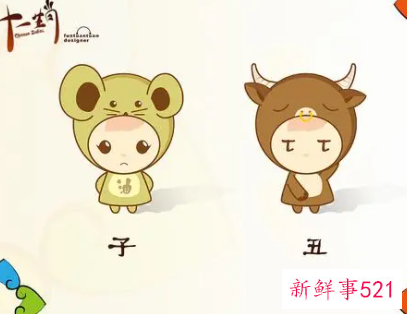 十二生肖吉祥颜色各种颜色代表什么