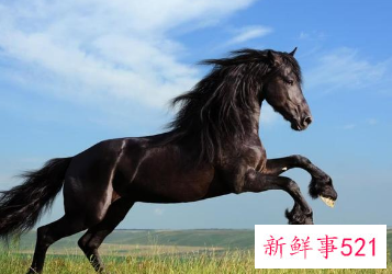 婚后命运坎坷的生肖女