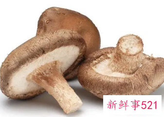 天天吃蘑菇对人有没有坏处