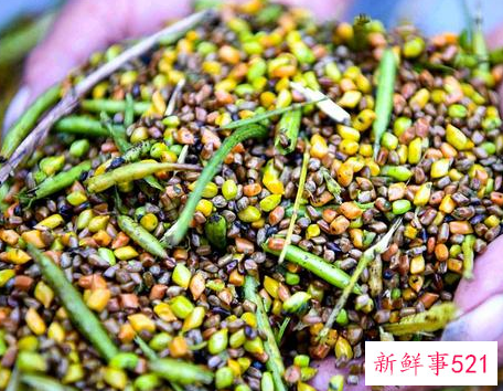 炒决明子泡水喝的功效与禁忌