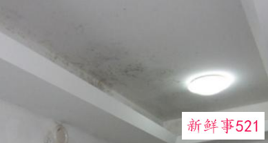 墙体潮湿发霉怎么处理方法