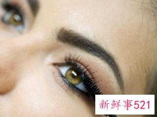 学化妆需要哪些化妆品