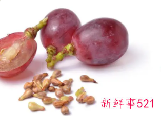 喝葡萄籽粉有什么害处