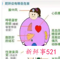 肥胖对身体的危害有哪些呢