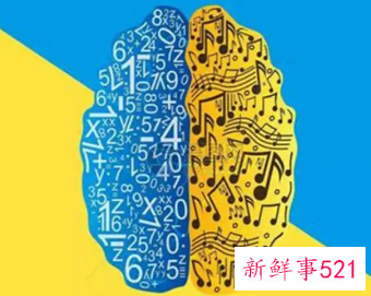 右脑发达的人数学不好吗