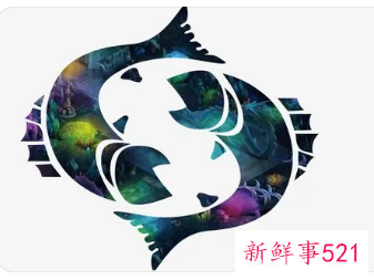 双鱼座适合养什么宠物