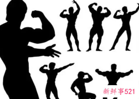 制定你的健美训练计划健身