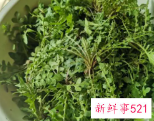 怎么区分荠菜和假荠菜
