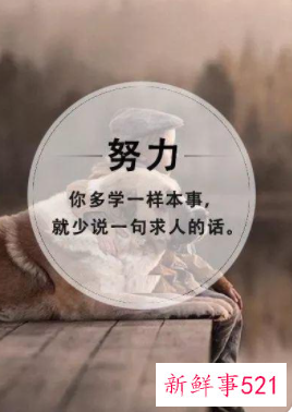 励志正能量积极向上的标题