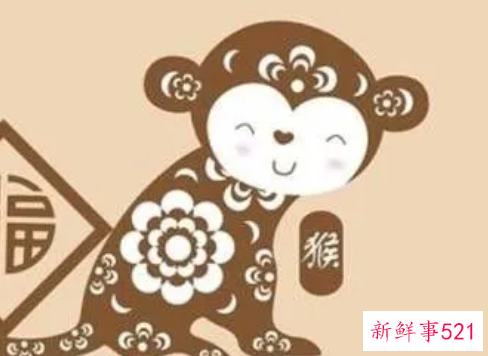 属猴的适合住什么楼层最好