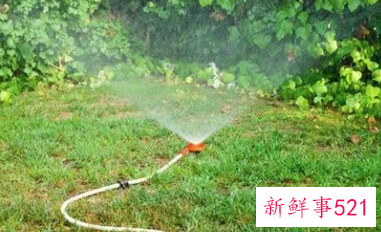 梦见水管喷水是什么预兆