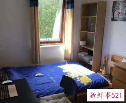 出租房屋合同必须写四条