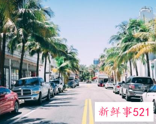 怎样停路边停车技巧