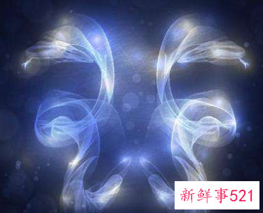 双子跟狮子配吗