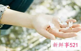 最感动真爱的语句图片