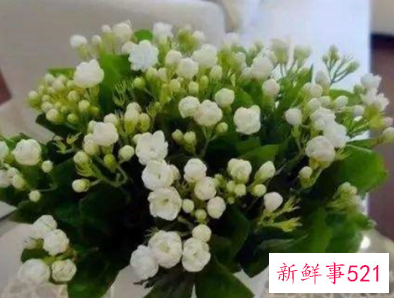 自己过生日送母亲什么花