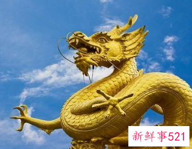 2022年属龙运势及运程