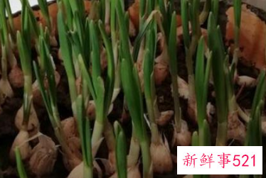 常见蔬菜有多少种