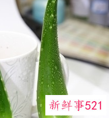 有哪些收缩毛孔小妙招