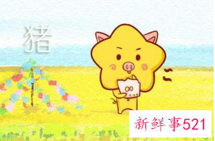 属猪的人命好吗