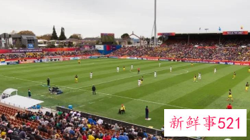 女足世界杯场馆2023简介