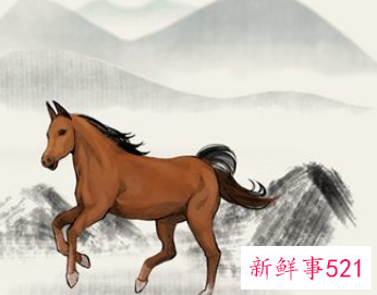 属马的床头朝西好不好