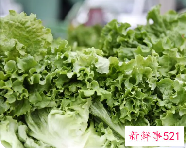 蔬菜名字名称图样