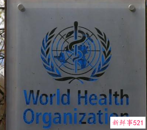 世卫建议育龄女性禁止饮酒