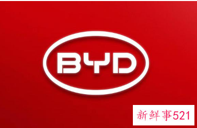 传巴菲特坚持比亚迪，港股大跌12%