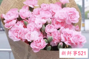 自己过生日送母亲什么花