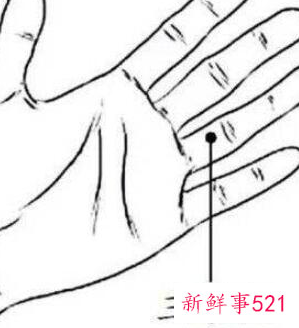 养脾胃最有效的方法