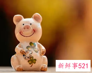 属猪的人命好吗