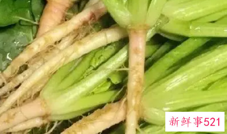 哪些菜根的营养价值高