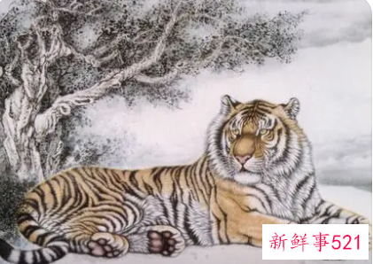 属虎的女人不能娶是因为命硬是吗