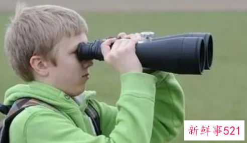 怎样培养孩子的观察力