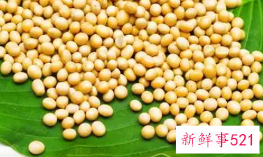 黄豆有没有蛋白质