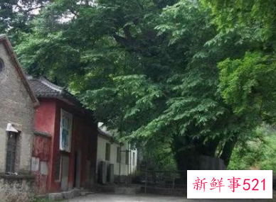 宅院大门风水讲究