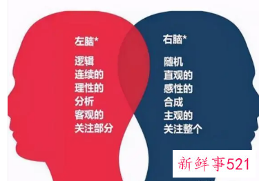 右脑发达的人数学不好吗