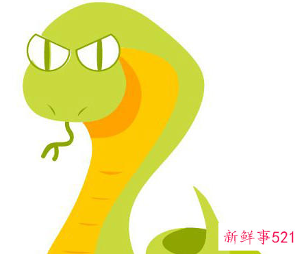 蛇跟猴一起合作生意怎样