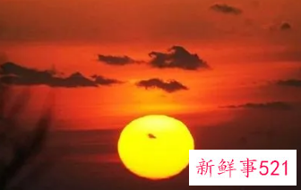 梦见下午的太阳